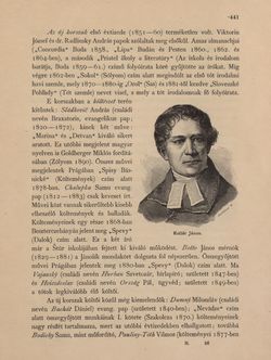 Image of the Page - 441 - in Az Osztrák-Magyar Monarchia írásban és képben - Magyarország V (1), Volume 18
