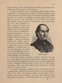 Image of the Page - 443 - in Az Osztrák-Magyar Monarchia írásban és képben - Magyarország V (1), Volume 18