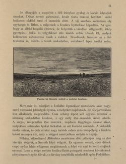 Image of the Page - 51 - in Az Osztrák-Magyar Monarchia írásban és képben - Galiczia (1), Volume 19/1