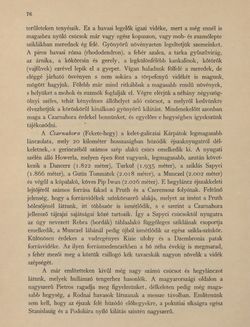 Bild der Seite - 76 - in Az Osztrák-Magyar Monarchia írásban és képben - Galiczia (1), Band 19/1