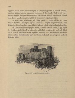 Image of the Page - 110 - in Az Osztrák-Magyar Monarchia írásban és képben - Galiczia (1), Volume 19/1