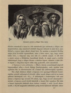 Image of the Page - 243 - in Az Osztrák-Magyar Monarchia írásban és képben - Galiczia (1), Volume 19/1