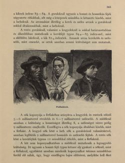 Image of the Page - 245 - in Az Osztrák-Magyar Monarchia írásban és képben - Galiczia (1), Volume 19/1