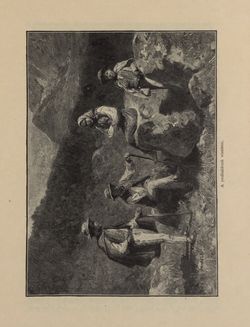 Bild der Seite - 263 - in Az Osztrák-Magyar Monarchia írásban és képben - Galiczia (1), Band 19/1