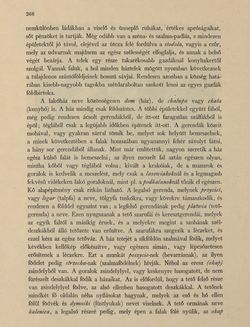 Bild der Seite - 266 - in Az Osztrák-Magyar Monarchia írásban és képben - Galiczia (1), Band 19/1