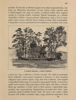 Image of the Page - 299 - in Az Osztrák-Magyar Monarchia írásban és képben - Galiczia (1), Volume 19/1