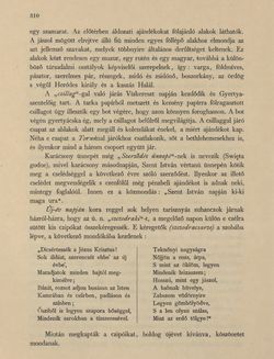 Bild der Seite - 310 - in Az Osztrák-Magyar Monarchia írásban és képben - Galiczia (1), Band 19/1