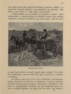 Image of the Page - 315 - in Az Osztrák-Magyar Monarchia írásban és képben - Galiczia (1), Volume 19/1