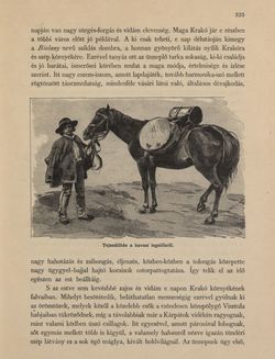 Bild der Seite - 325 - in Az Osztrák-Magyar Monarchia írásban és képben - Galiczia (1), Band 19/1