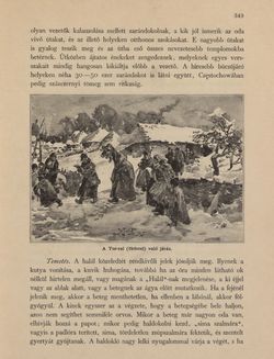 Image of the Page - 349 - in Az Osztrák-Magyar Monarchia írásban és képben - Galiczia (1), Volume 19/1