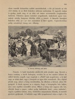 Bild der Seite - 349 - in Az Osztrák-Magyar Monarchia írásban és képben - Galiczia (1), Band 19/1