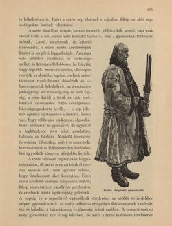 Bild der Seite - 375 - in Az Osztrák-Magyar Monarchia írásban és képben - Galiczia (1), Band 19/1