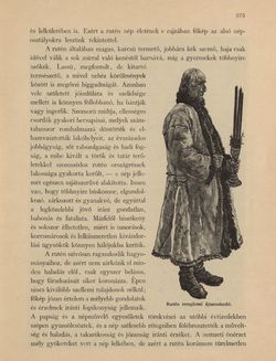 Image of the Page - 375 - in Az Osztrák-Magyar Monarchia írásban és képben - Galiczia (1), Volume 19/1