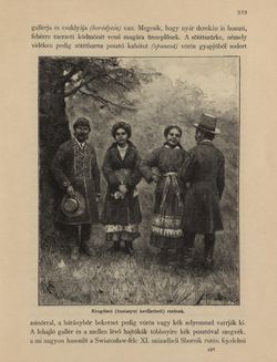 Bild der Seite - 379 - in Az Osztrák-Magyar Monarchia írásban és képben - Galiczia (1), Band 19/1