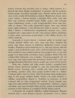 Bild der Seite - 383 - in Az Osztrák-Magyar Monarchia írásban és képben - Galiczia (1), Band 19/1