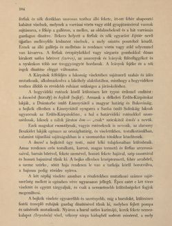 Bild der Seite - 384 - in Az Osztrák-Magyar Monarchia írásban és képben - Galiczia (1), Band 19/1
