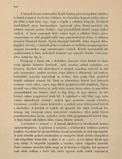 Bild der Seite - 388 - in Az Osztrák-Magyar Monarchia írásban és képben - Galiczia (1), Band 19/1
