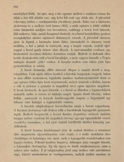 Bild der Seite - 394 - in Az Osztrák-Magyar Monarchia írásban és képben - Galiczia (1), Band 19/1