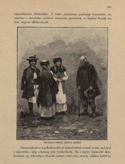 Bild der Seite - 397 - in Az Osztrák-Magyar Monarchia írásban és képben - Galiczia (1), Band 19/1