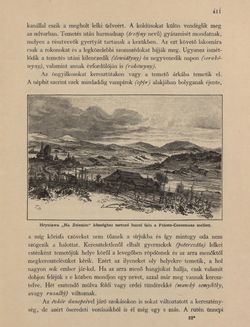 Bild der Seite - 411 - in Az Osztrák-Magyar Monarchia írásban és képben - Galiczia (1), Band 19/1