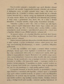 Bild der Seite - 437 - in Az Osztrák-Magyar Monarchia írásban és képben - Galiczia (1), Band 19/1