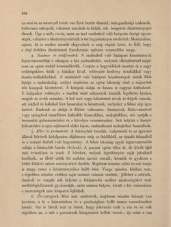 Image of the Page - 536 - in Az Osztrák-Magyar Monarchia írásban és képben - Galiczia (2), Volume 19/2