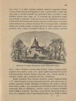 Bild der Seite - 665 - in Az Osztrák-Magyar Monarchia írásban és képben - Galiczia (2), Band 19/2