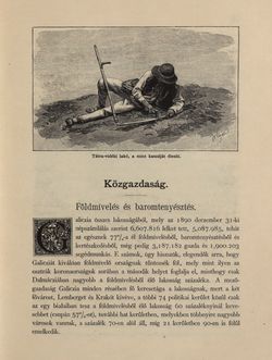Image of the Page - 791 - in Az Osztrák-Magyar Monarchia írásban és képben - Galiczia (2), Volume 19/2