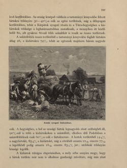 Image of the Page - 797 - in Az Osztrák-Magyar Monarchia írásban és képben - Galiczia (2), Volume 19/2