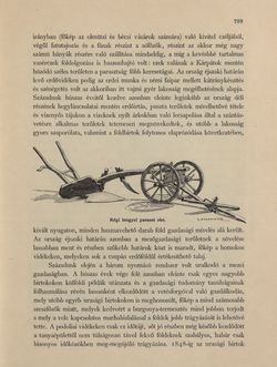 Image of the Page - 799 - in Az Osztrák-Magyar Monarchia írásban és képben - Galiczia (2), Volume 19/2