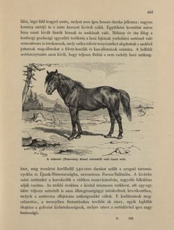 Image of the Page - 809 - in Az Osztrák-Magyar Monarchia írásban és képben - Galiczia (2), Volume 19/2