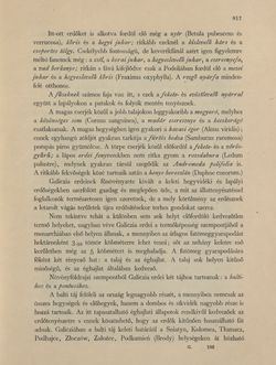 Image of the Page - 817 - in Az Osztrák-Magyar Monarchia írásban és képben - Galiczia (2), Volume 19/2