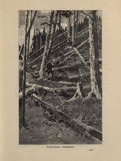 Bild der Seite - 819 - in Az Osztrák-Magyar Monarchia írásban és képben - Galiczia (2), Band 19/2