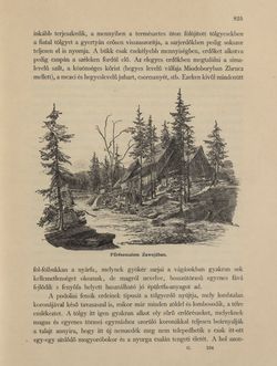 Bild der Seite - 825 - in Az Osztrák-Magyar Monarchia írásban és képben - Galiczia (2), Band 19/2