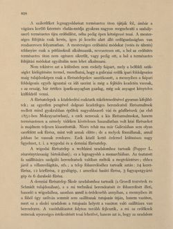 Bild der Seite - 828 - in Az Osztrák-Magyar Monarchia írásban és képben - Galiczia (2), Band 19/2