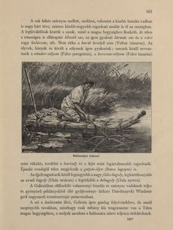 Bild der Seite - 835 - in Az Osztrák-Magyar Monarchia írásban és képben - Galiczia (2), Band 19/2