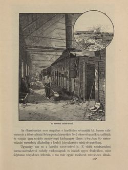 Image of the Page - 843 - in Az Osztrák-Magyar Monarchia írásban és képben - Galiczia (2), Volume 19/2