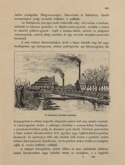 Bild der Seite - 865 - in Az Osztrák-Magyar Monarchia írásban és képben - Galiczia (2), Band 19/2