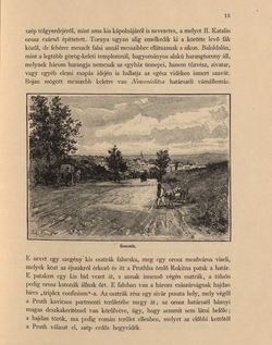 Bild der Seite - 13 - in Az Osztrák-Magyar Monarchia írásban és képben - Bukovina, Band 20