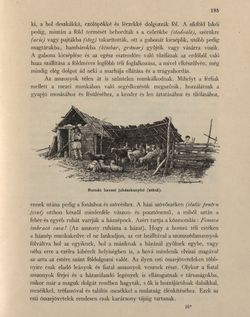 Image of the Page - 195 - in Az Osztrák-Magyar Monarchia írásban és képben - Bukovina, Volume 20