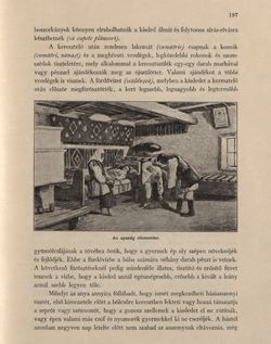 Image of the Page - 197 - in Az Osztrák-Magyar Monarchia írásban és képben - Bukovina, Volume 20