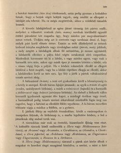 Image of the Page - 199 - in Az Osztrák-Magyar Monarchia írásban és képben - Bukovina, Volume 20