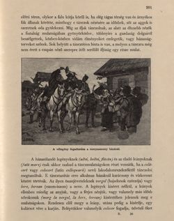 Image of the Page - 201 - in Az Osztrák-Magyar Monarchia írásban és képben - Bukovina, Volume 20