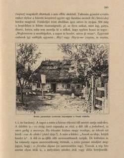 Bild der Seite - 245 - in Az Osztrák-Magyar Monarchia írásban és képben - Bukovina, Band 20