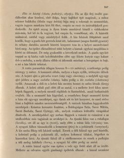 Bild der Seite - 247 - in Az Osztrák-Magyar Monarchia írásban és képben - Bukovina, Band 20