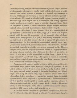 Bild der Seite - 248 - in Az Osztrák-Magyar Monarchia írásban és képben - Bukovina, Band 20