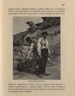Bild der Seite - 293 - in Az Osztrák-Magyar Monarchia írásban és képben - Bukovina, Band 20