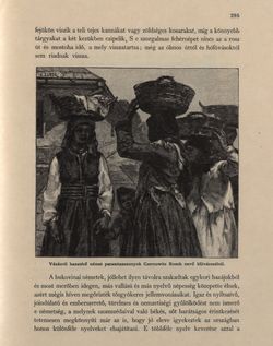Bild der Seite - 295 - in Az Osztrák-Magyar Monarchia írásban és képben - Bukovina, Band 20