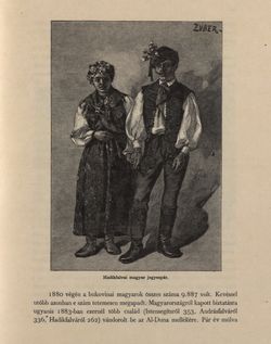 Bild der Seite - 311 - in Az Osztrák-Magyar Monarchia írásban és képben - Bukovina, Band 20