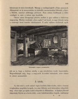Image of the Page - 313 - in Az Osztrák-Magyar Monarchia írásban és képben - Bukovina, Volume 20